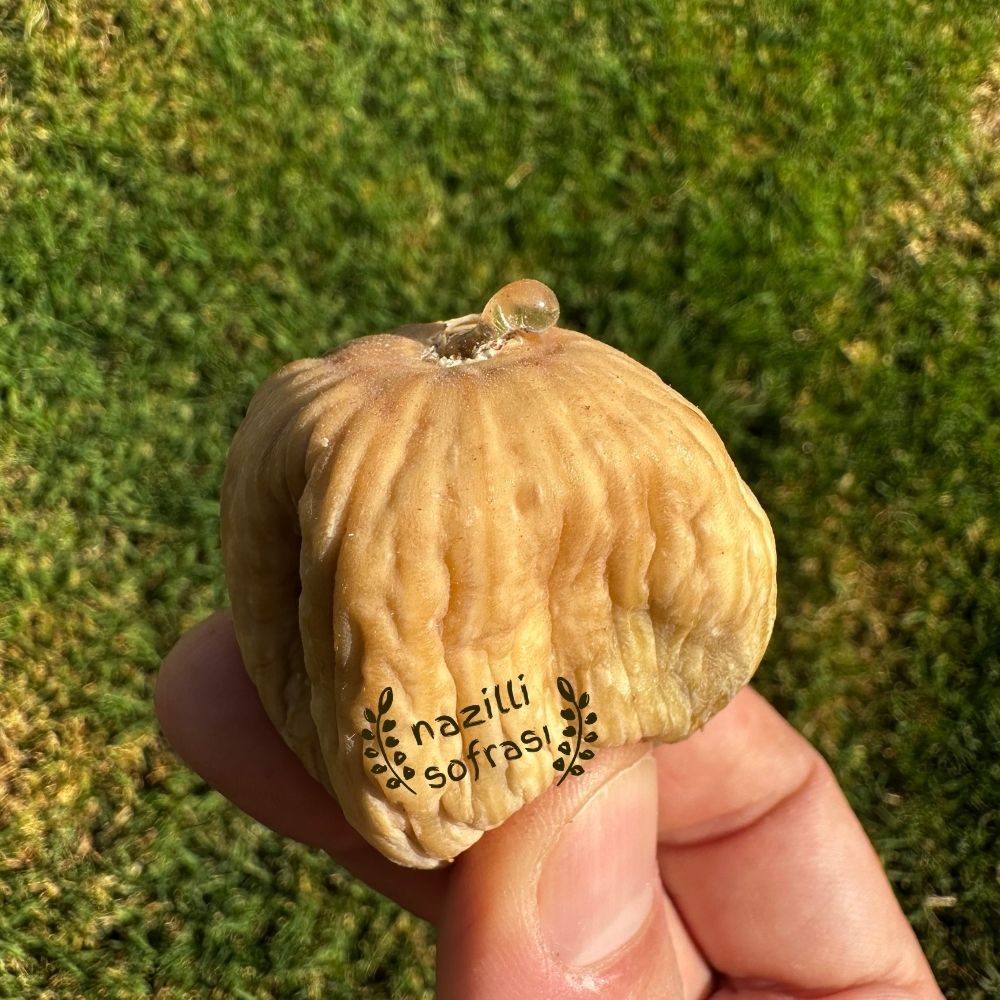 JUMBO BOY BURUK İNCİR (1KG)